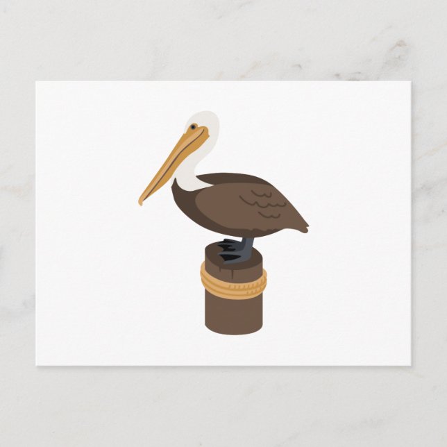 Carte Postale Pélican Brown (Devant)