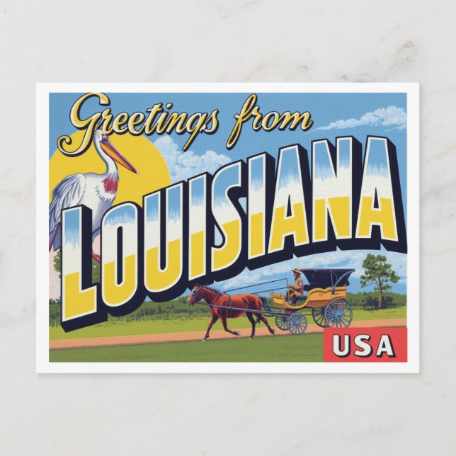 Carte Postale Pélican de calèche de Louisiane (Devant)