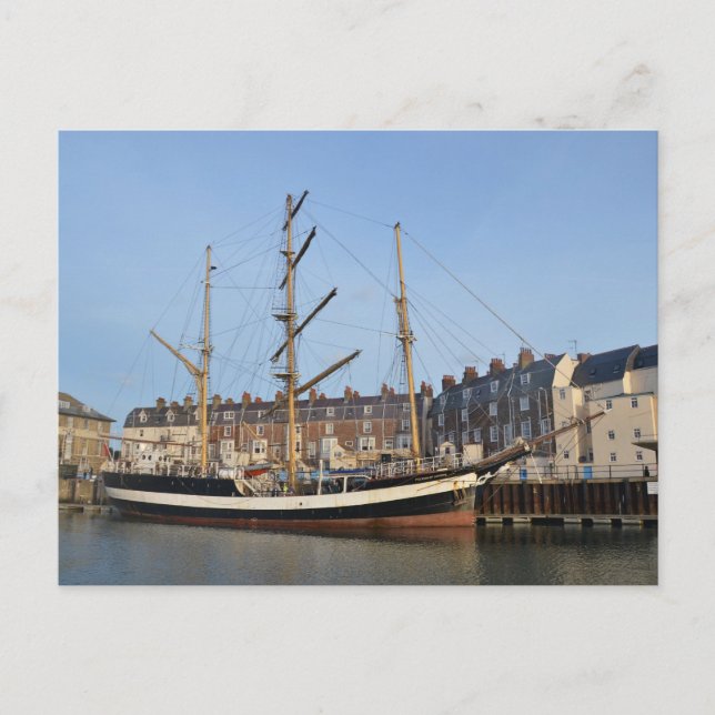 Carte Postale Pélican De Londres (Devant)