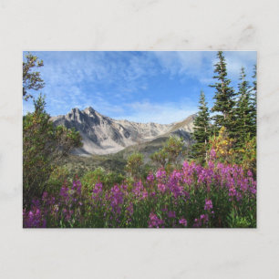 Carte Postale Pelly Mountain Vista