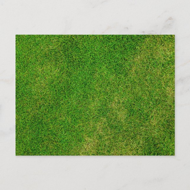 Carte Postale Pelouse (Devant)
