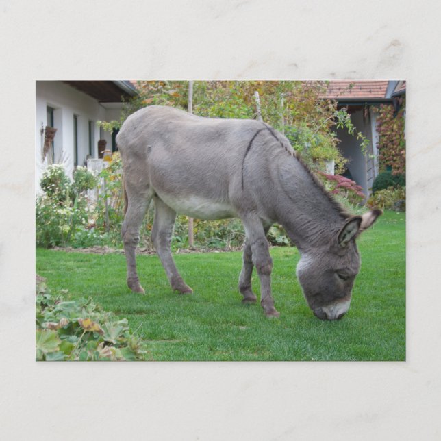 Carte Postale Pelouse Biologique Sur Quatre Trous (Devant)