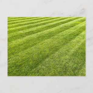 Carte Postale Pelouse rayée Abstraite