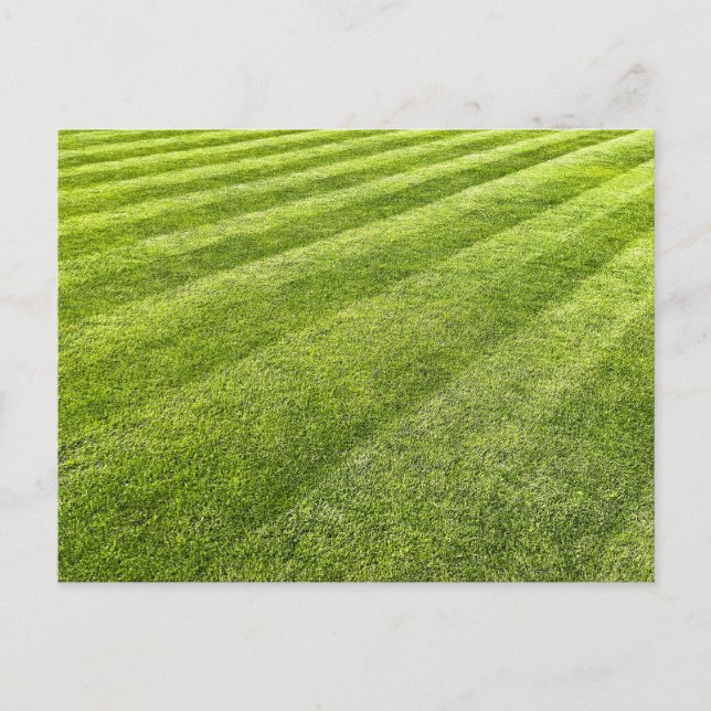 Carte Postale Pelouse rayée Abstraite (Devant)