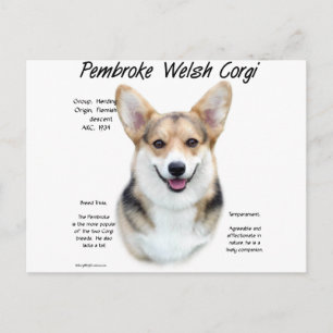 Carte Postale Pembroke Welsh Corgi Conception de l'histoire