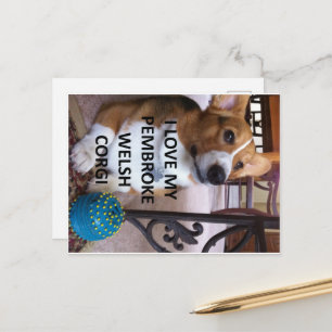 Carte Postale pembroke welsh corgi fauve amour avec photo