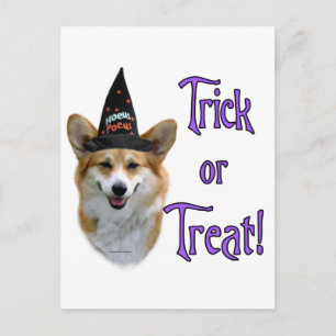 Carte Postale Pembroke Welsh Corgi Trick