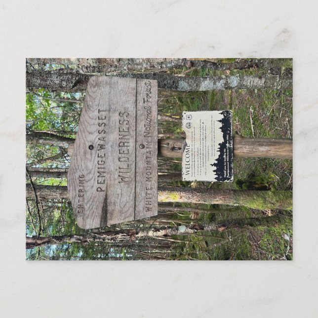 Carte Postale Pemigewasset Wilderness Postcard (Devant)