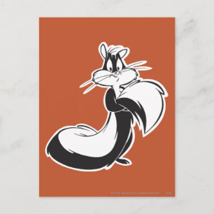 Carte Postale Pénélope Capture