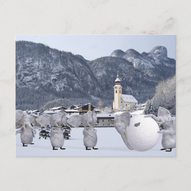 Carte Postale Pengphants doux (Devant)