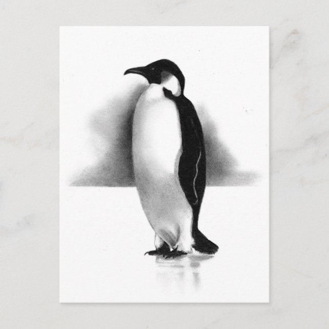 CARTE POSTALE PENGUIN À PENCIL : ART RÉALISME (Devant)