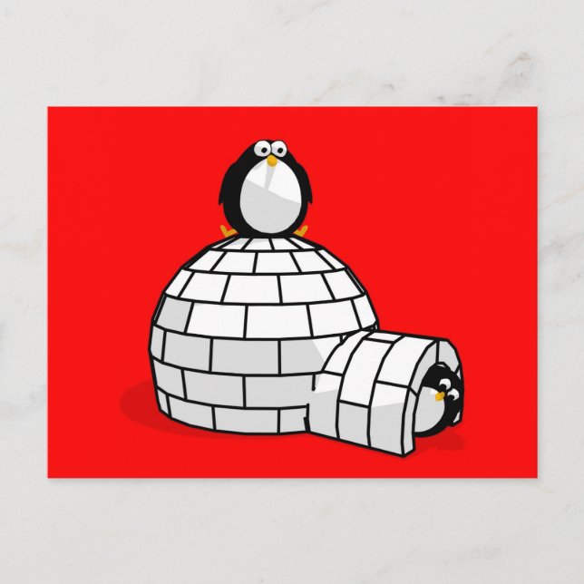 Carte postale Penguin et Igloo (Devant)