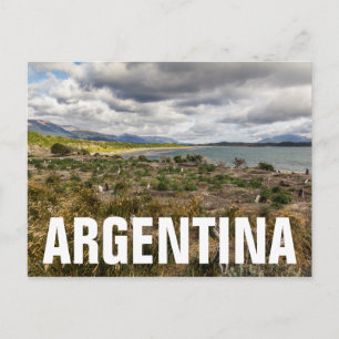 Carte Postale Penguinera