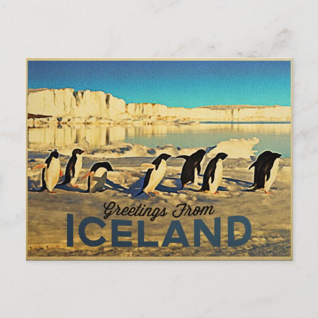 Carte Postale Penguins d'Islande (Devant)