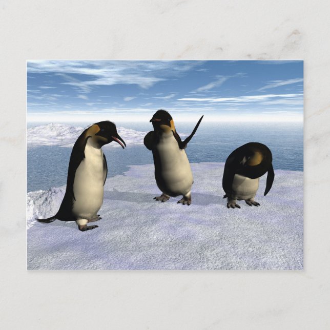 Carte Postale Penguins empereurs (Devant)