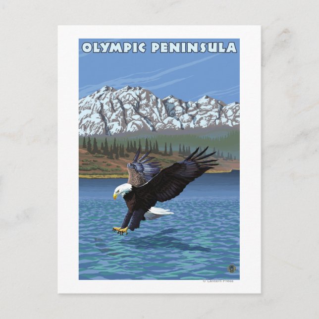 Carte Postale Péninsule olympique, Aigle de pêche de Washington (Devant)