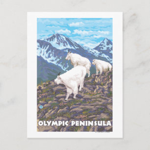 Carte Postale Péninsule olympique, Washington Mountain Chèvres
