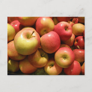Carte Postale Pennsylvania Apples Postcard