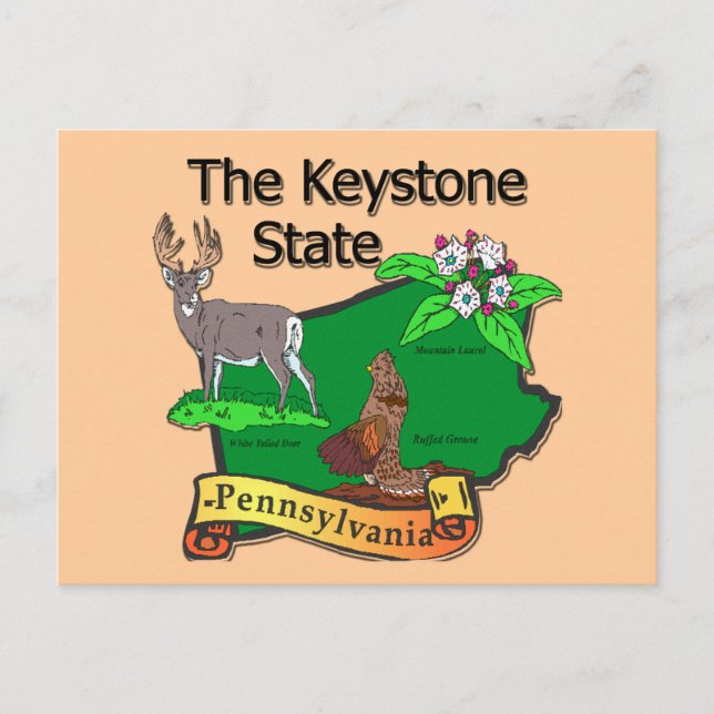 Carte Postale Pennsylvanie La Fleur de cerfs d'État Keystone (Devant)