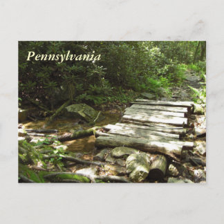 Carte Postale Pennsylvanie Wooden Bridge