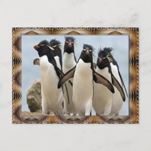 Carte Postale Penquin Walking