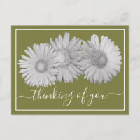 Pense à toi Gerbera Daisies Fond Vert