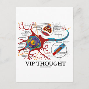 Carte Postale Pensée VIP (Neuron / Humour Synapse)