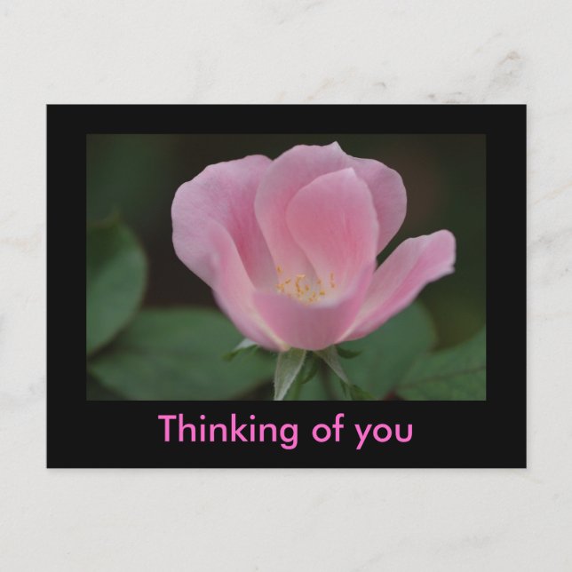 Carte Postale Penser à toi (Devant)