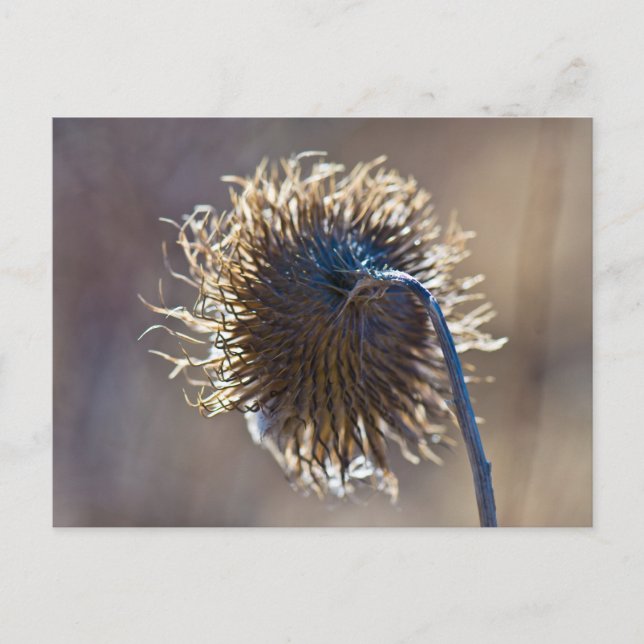 Carte Postale Penser à toi (Devant)