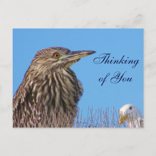 Carte Postale Penser à votre_Carte