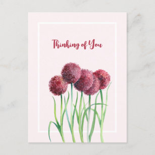 Carte Postale Penser à vous Alliums rose Aquarelle