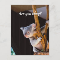 Penser à vous amusez Koala Faites-moi savoir que v