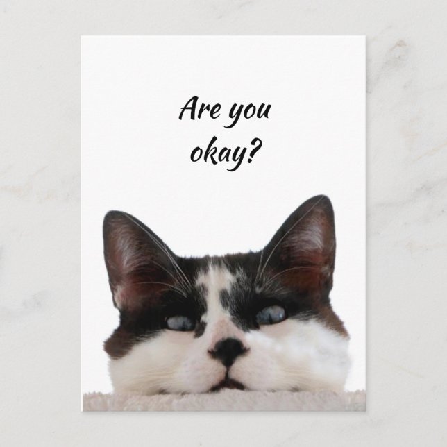 Carte Postale Penser à vous Chat drôle Dites-moi que vous allez  (Devant)
