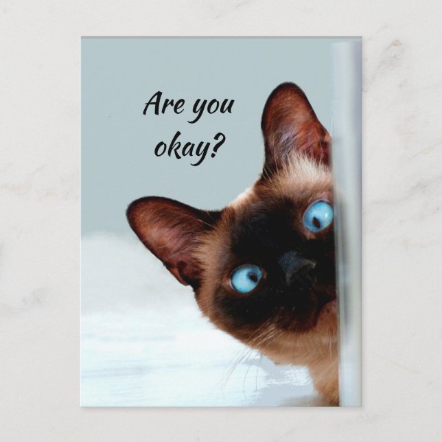 Carte Postale Penser à vous Chat drôle Dites-moi que vous allez  (Devant)