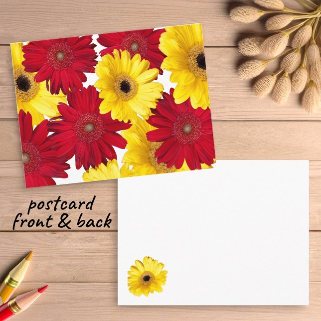 Carte Postale Penser à vous les marguerites de Gerber rouge et j (gerbera daisy postcard insitu)
