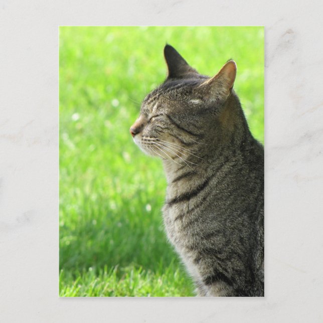 Carte Postale Penser ... de vous ... (Devant)