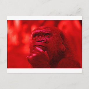 Carte Postale Penser Gorilla