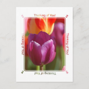 Carte Postale Pensez à vous