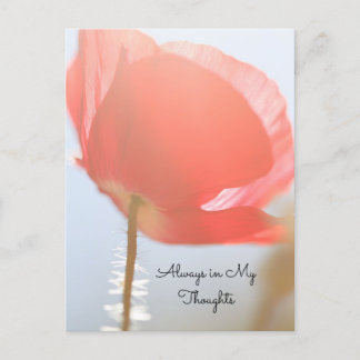 Carte Postale Pensez à vous Red Poppy au lever du soleil