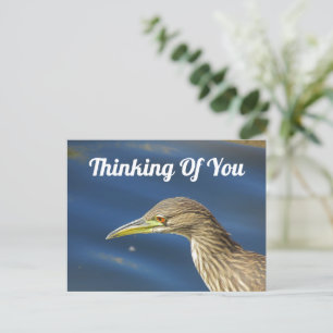 Carte Postale Pensez À Vous Tan Bird Amitié De Longue Distance