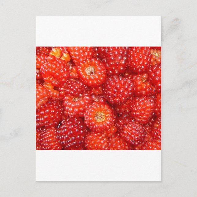 CARTE POSTALE PENSEZ RASPBERRY ! (Devant)
