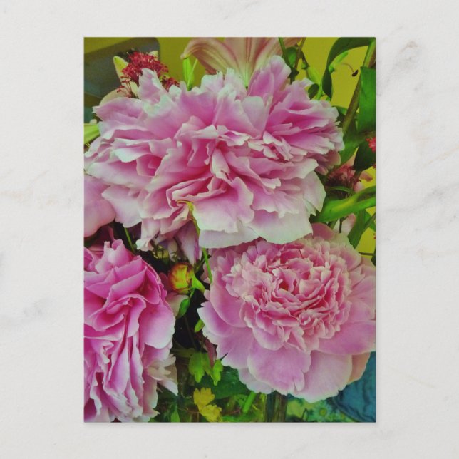 Carte Postale Peonies Français Style Pays (Devant)