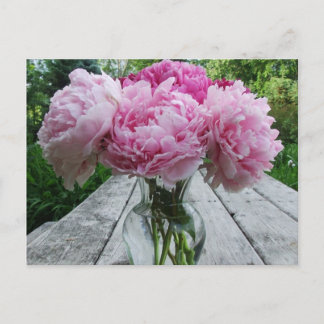 Carte Postale Peonies roses / Arrangement de fleurs de pivoines