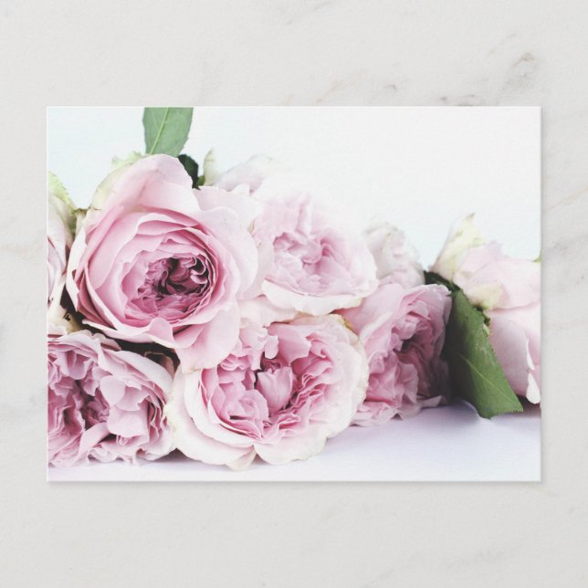 CARTE POSTALE PEONY FLEURS (Devant)