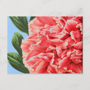 Carte Postale Peony vintage / Pfingstrose Vintage