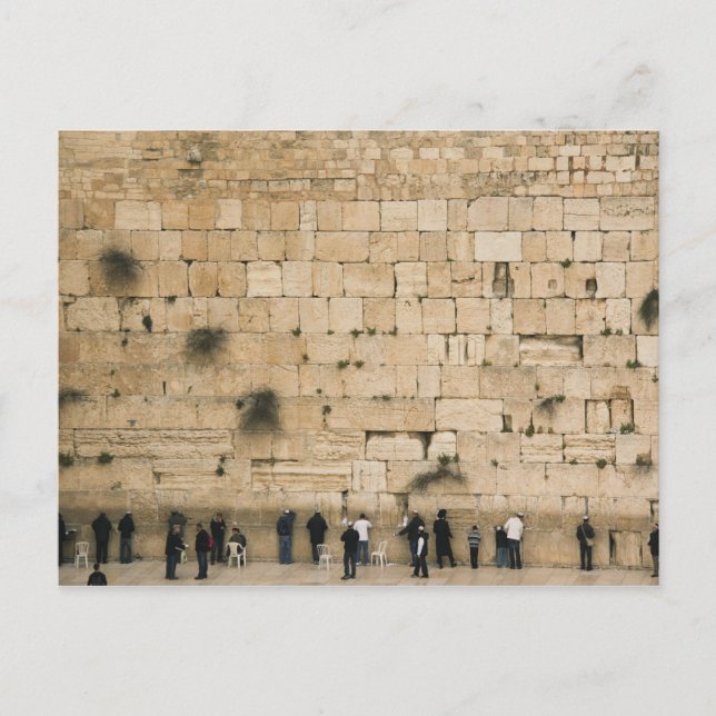 Carte Postale People praying at the wailing wall (Devant)