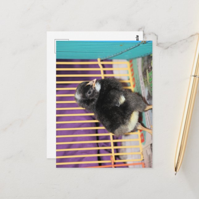 Carte Postale Pep (Devant/Arrière en situation)