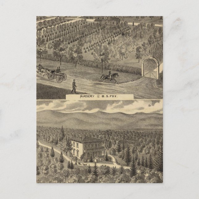 Carte Postale Pépinière Fox, res, verger (Devant)