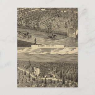 Carte Postale Pépinière Fox, res, verger