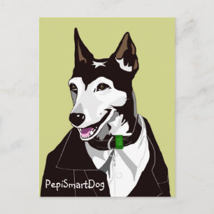 Carte Postale PepiSmartDog Postcard